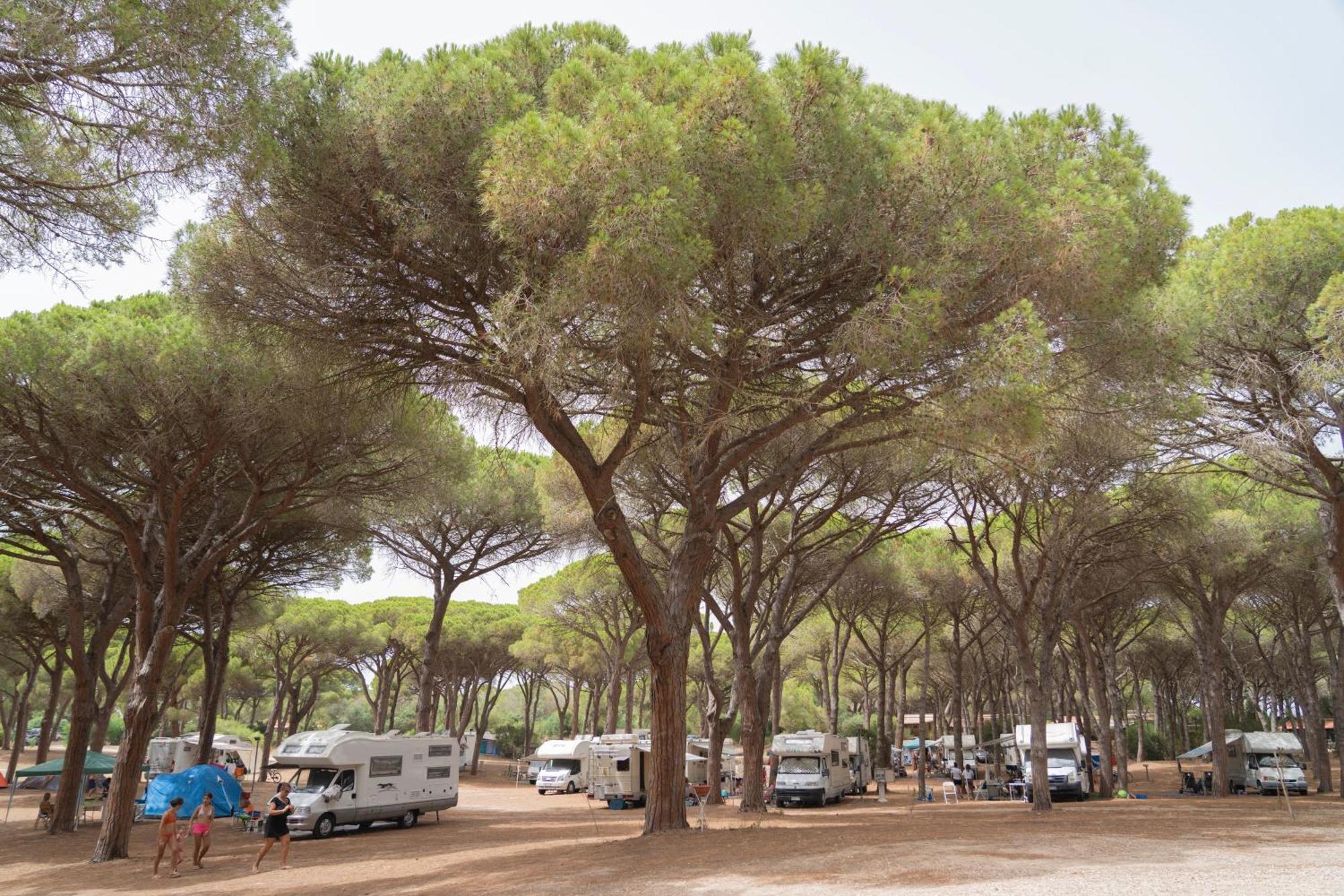 Camping Village S'Ena Arrubia Arborea Eksteriør billede