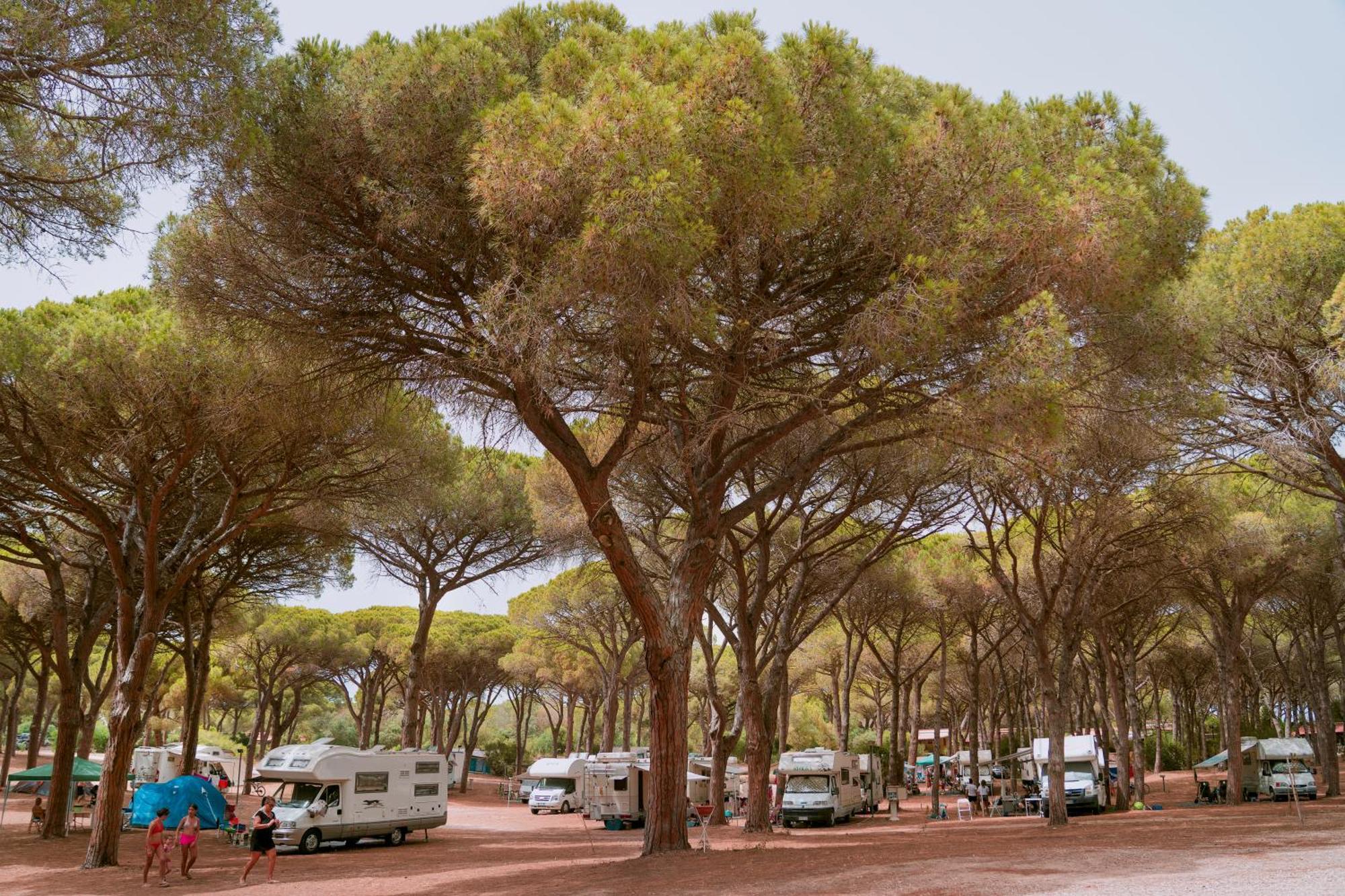 Camping Village S'Ena Arrubia Arborea Eksteriør billede